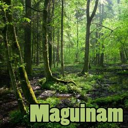 Maguinam (Kalinga song)