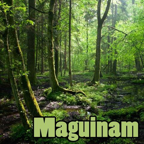 Maguinam (Kalinga song)