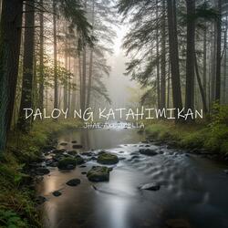 Daloy ng Katahimikan (Relaxing Spa Music)