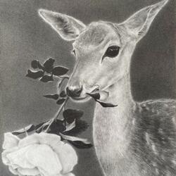 meaningful love (feat. coye)