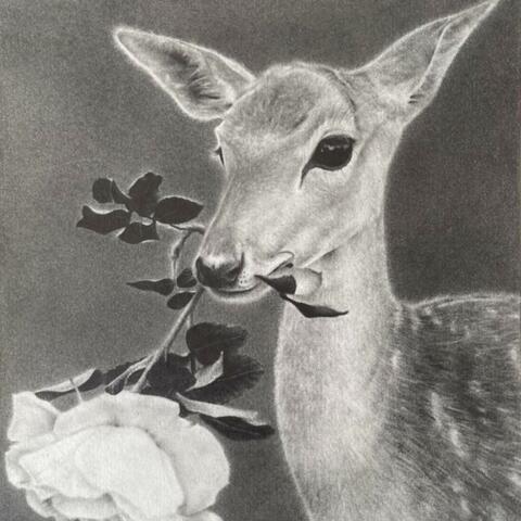 meaningful love (feat. coye)