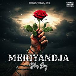 Meriyandja (Haart Se Punt)