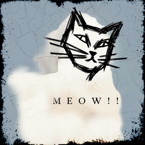 MEOW ! ! (en esta no canta Rosalia)