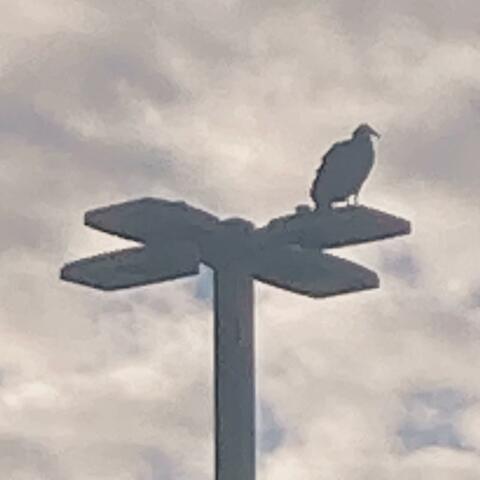 Ephiphany for a Doomsday