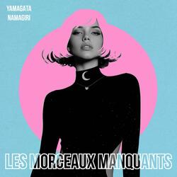 Les Morceaux Manquants