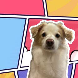 잠깐 오늘 내 얘기 좀 들어볼래? (feat. Y)