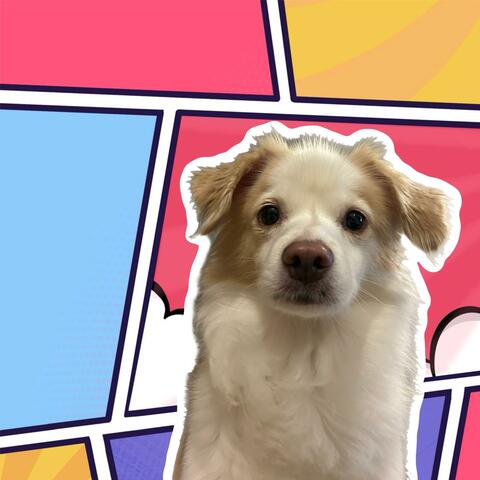 잠깐 오늘 내 얘기 좀 들어볼래? (feat. Y)