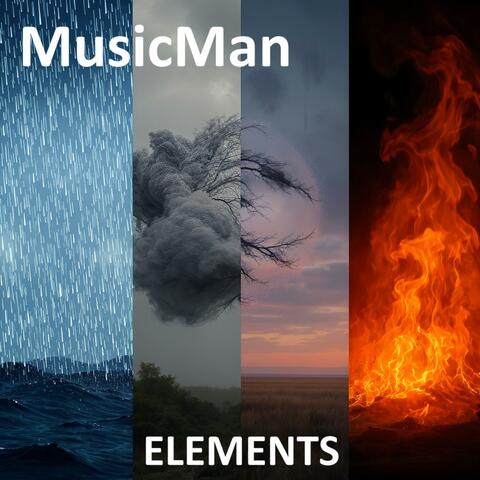 ELEMENTS