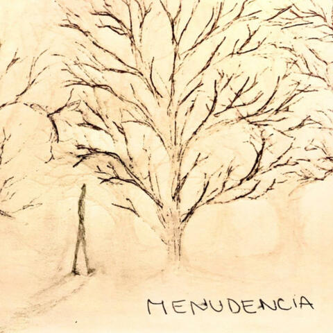 Menudencia
