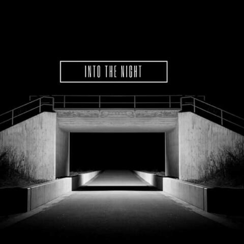 Into the Night