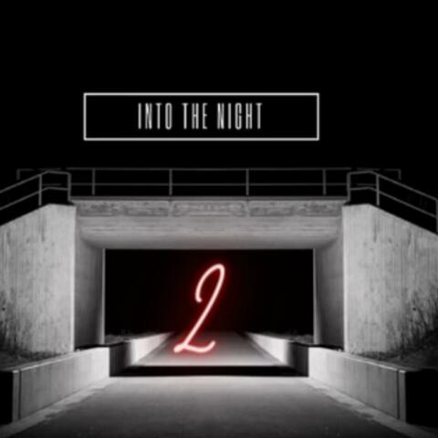 Into The NIght 2