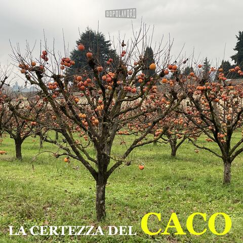 La certezza del caco