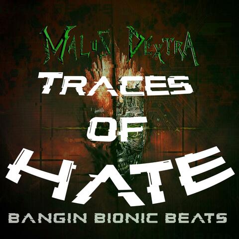 Traces of Hate (McLucas Remix)