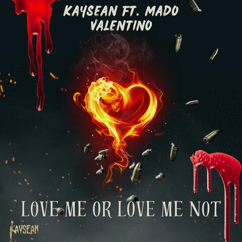 Love Me Or Love Me Not (feat. Mado Valentino)