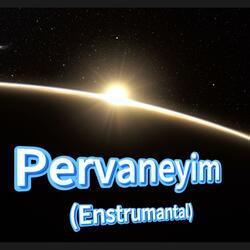 Pervaneyim (Enstrumantal)