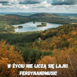 W ŻYCIU NIE LICZĄ SIĘ LAJKI