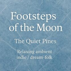 Footsteps of the Moon