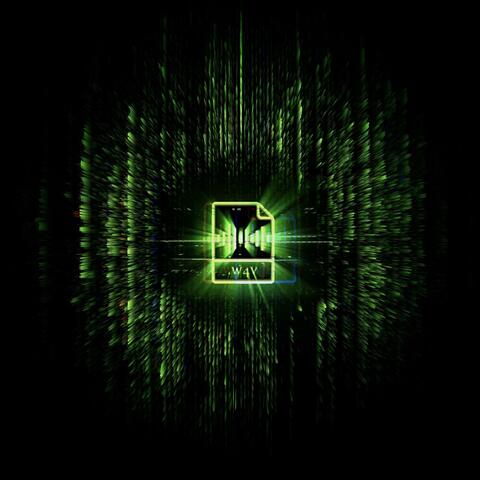.w4v