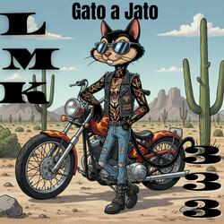 Gato a jato