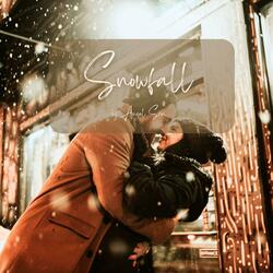 Snowfall