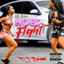 Let Them Hoes Fight (Ghettotech MegaMix)