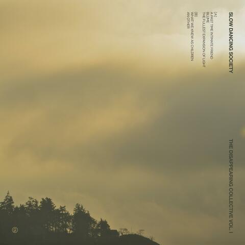 The Disappearing Collective, Vol. I