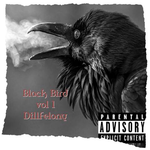 Black Bird vol1