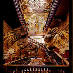 I contain Multitudes