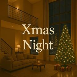 キラキラ輝くクリスマスの夜の小径