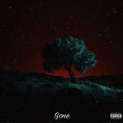Gone (feat. whyBmiti)