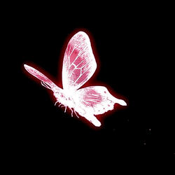 SET ME FREE (feat. D-ROCK & Bruxely!)