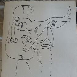 The beast beneath my skin