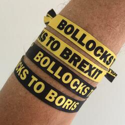 Bollocks to Brexit Pimlico Plumbers Mix