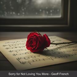 Sorry for Not Loving You More