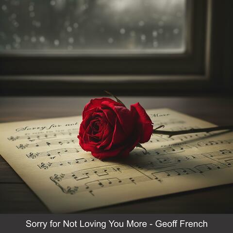 Sorry for Not Loving You More