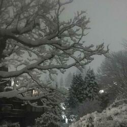 wintr (feat. prod. saint mike)