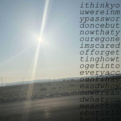 ithinkyouwereinmypasswordonce