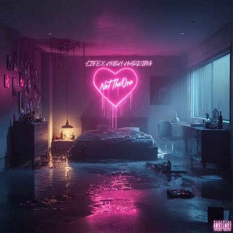 Not The One (feat. Hush Harding)