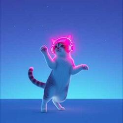 りお猫と星降る夜の物語