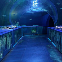 さよなら、私の全部