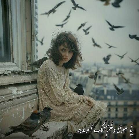 یا مولا دلم تنگ اومده _ هوش مصنوعی