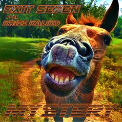 Mystery (feat. Krizz Kaliko)