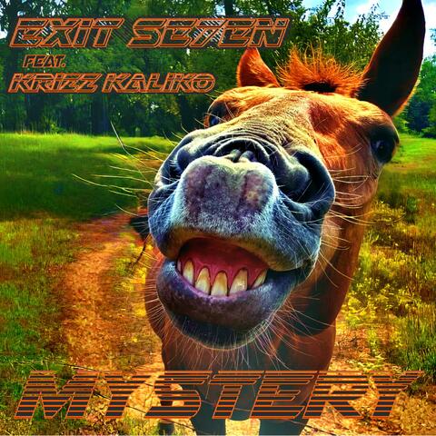 Mystery (feat. Krizz Kaliko)