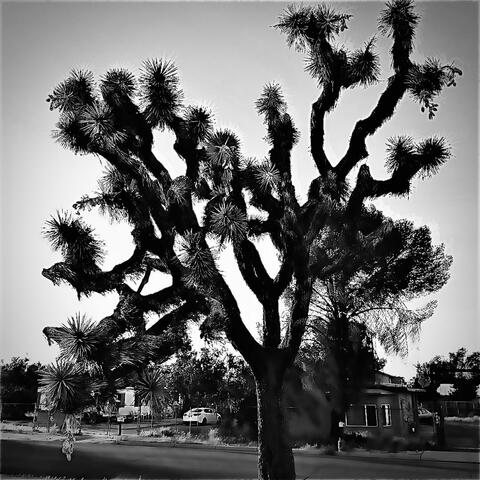 Ghost in the White Noise (AI)