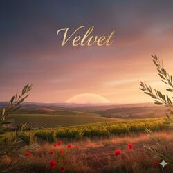 Velvet (Written by ER, for another artist)