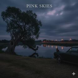 Pink skies (Written by ER, for another artist)