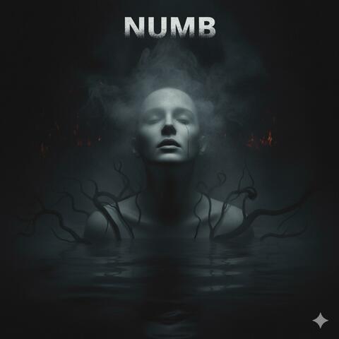Numb (Written by ER, for another artist)
