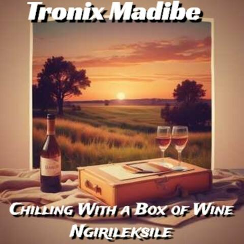 Chilling With A Box Of Wine