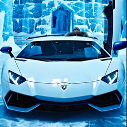 FreeStyle PolaBear 1