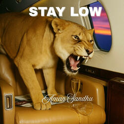 STAY LOW!